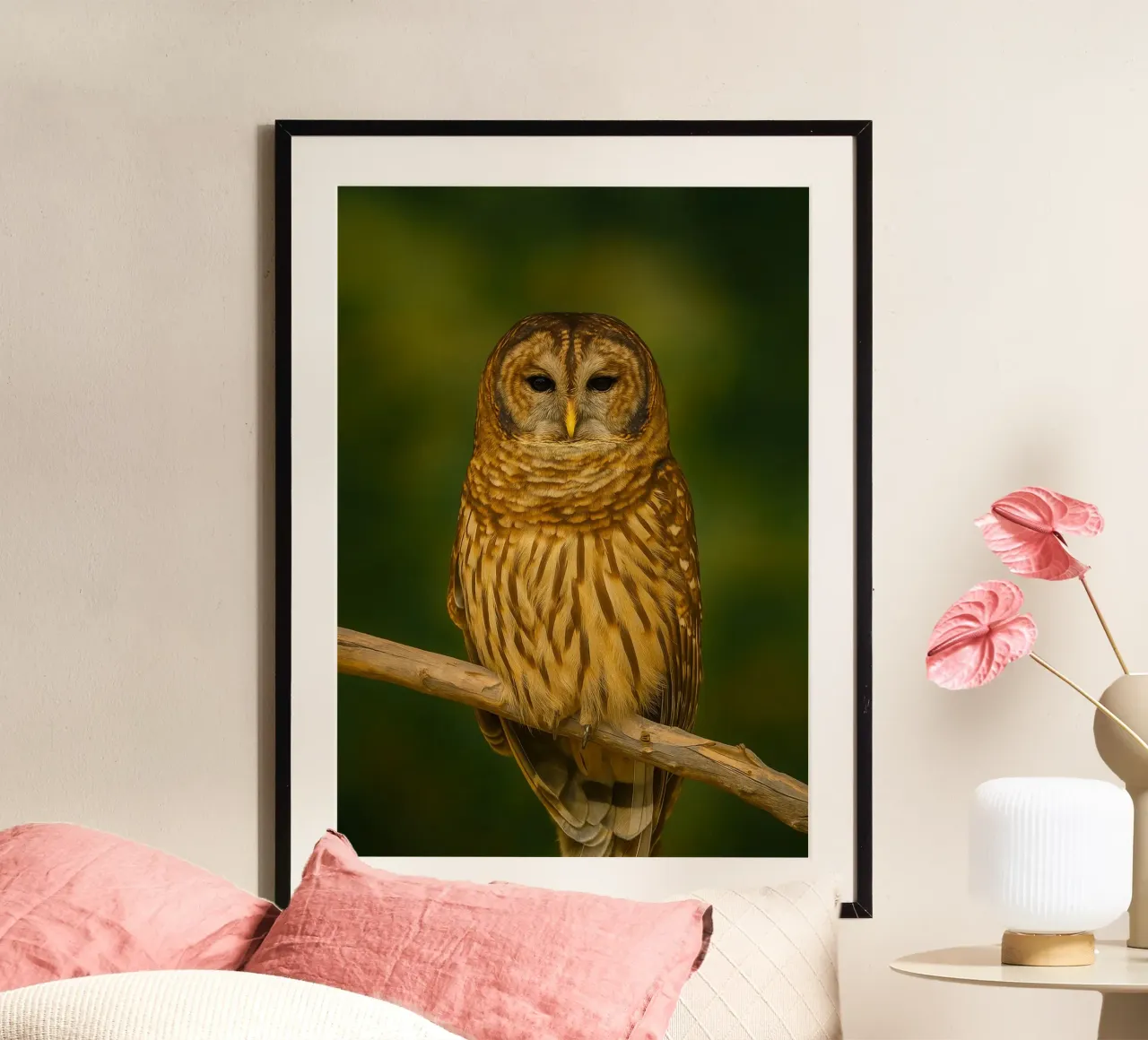 fotografia animale di gufo poster da raflessia