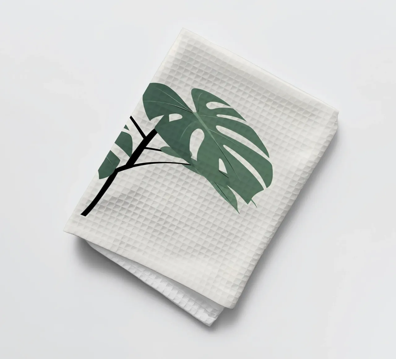 Filodendro a foglie spaccate canovaccio da cucina da Botanical Gallery
