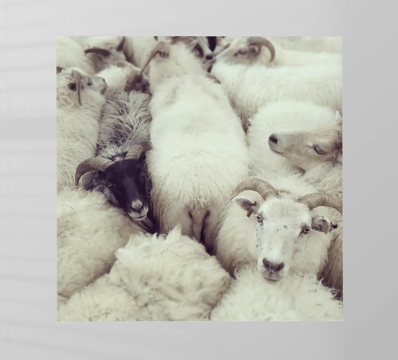 I see you film rétro-éclairé de Nur Mut