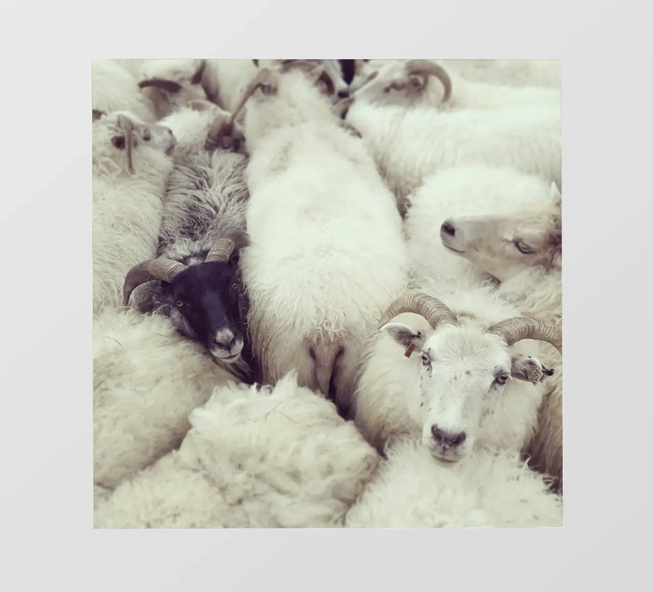 I see you film rétro-éclairé de Nur Mut