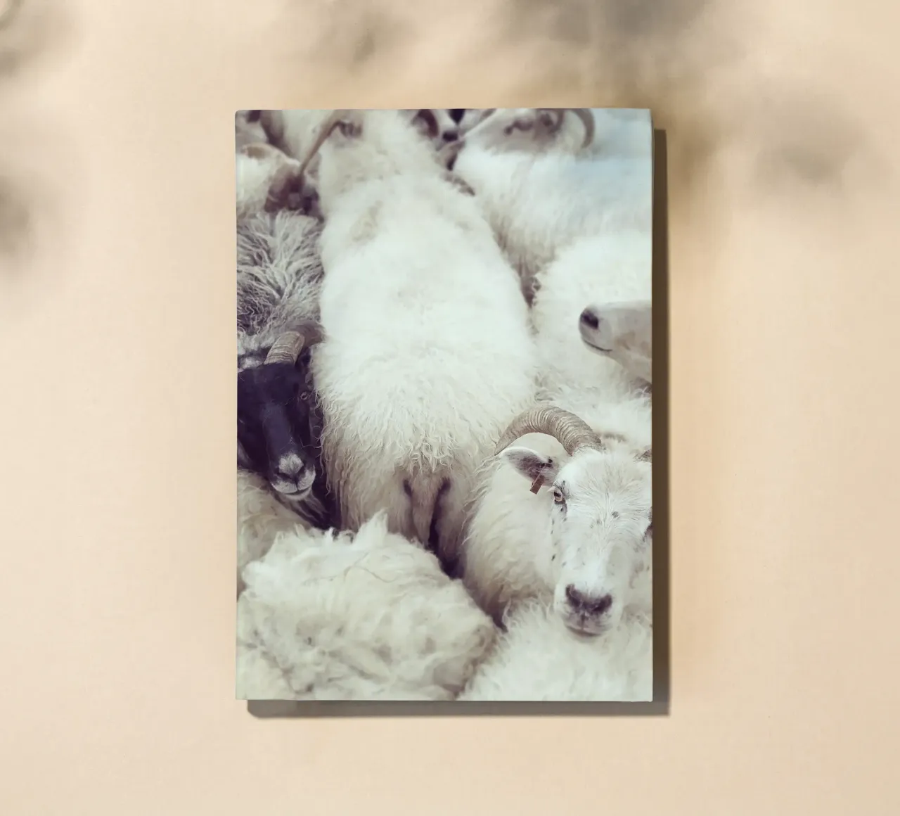 I see you carnet de notes de Nur Mut