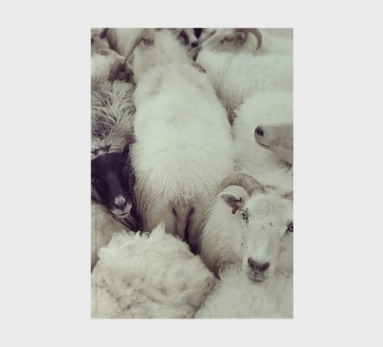 I see you carnet de notes de Nur Mut