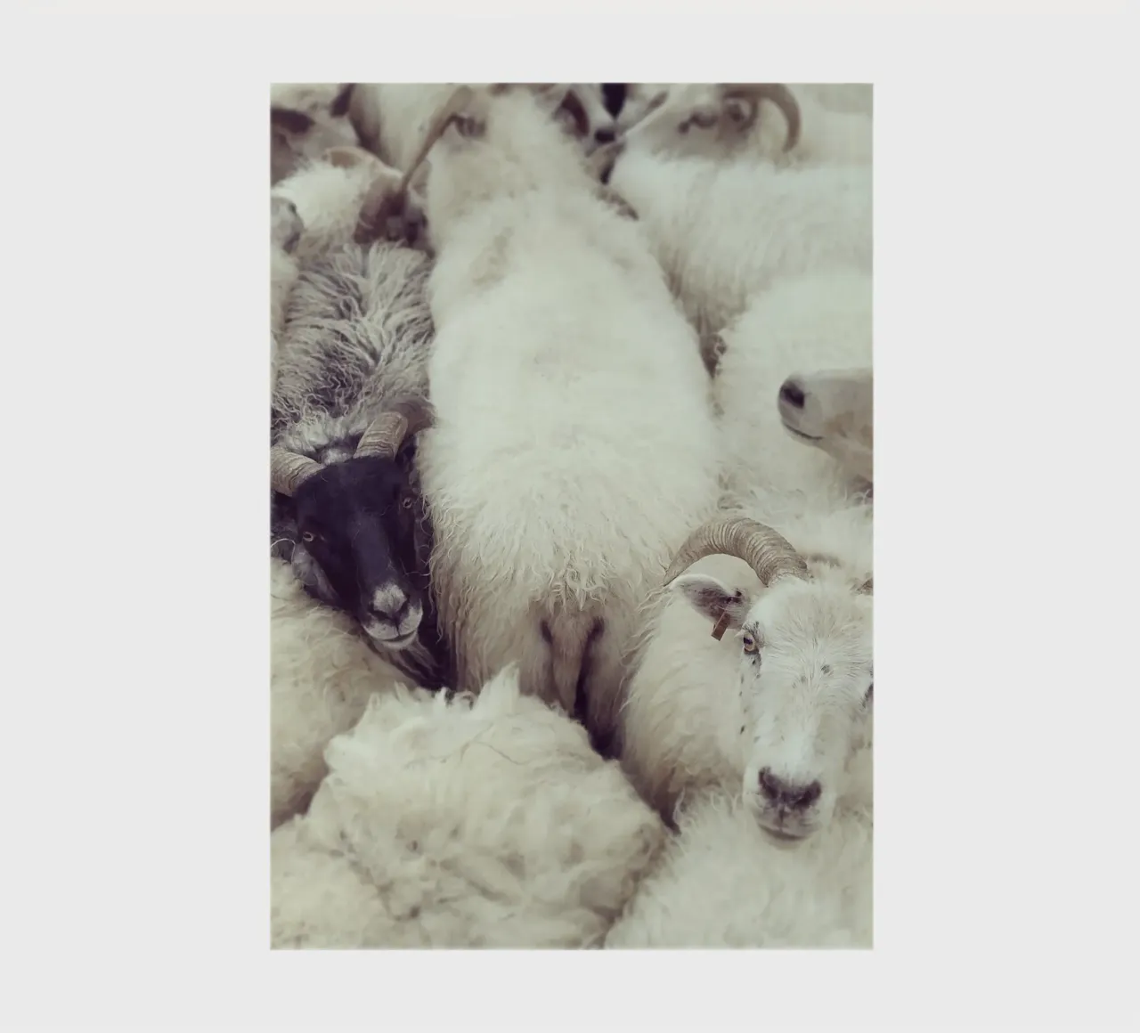 I see you carnet de notes de Nur Mut