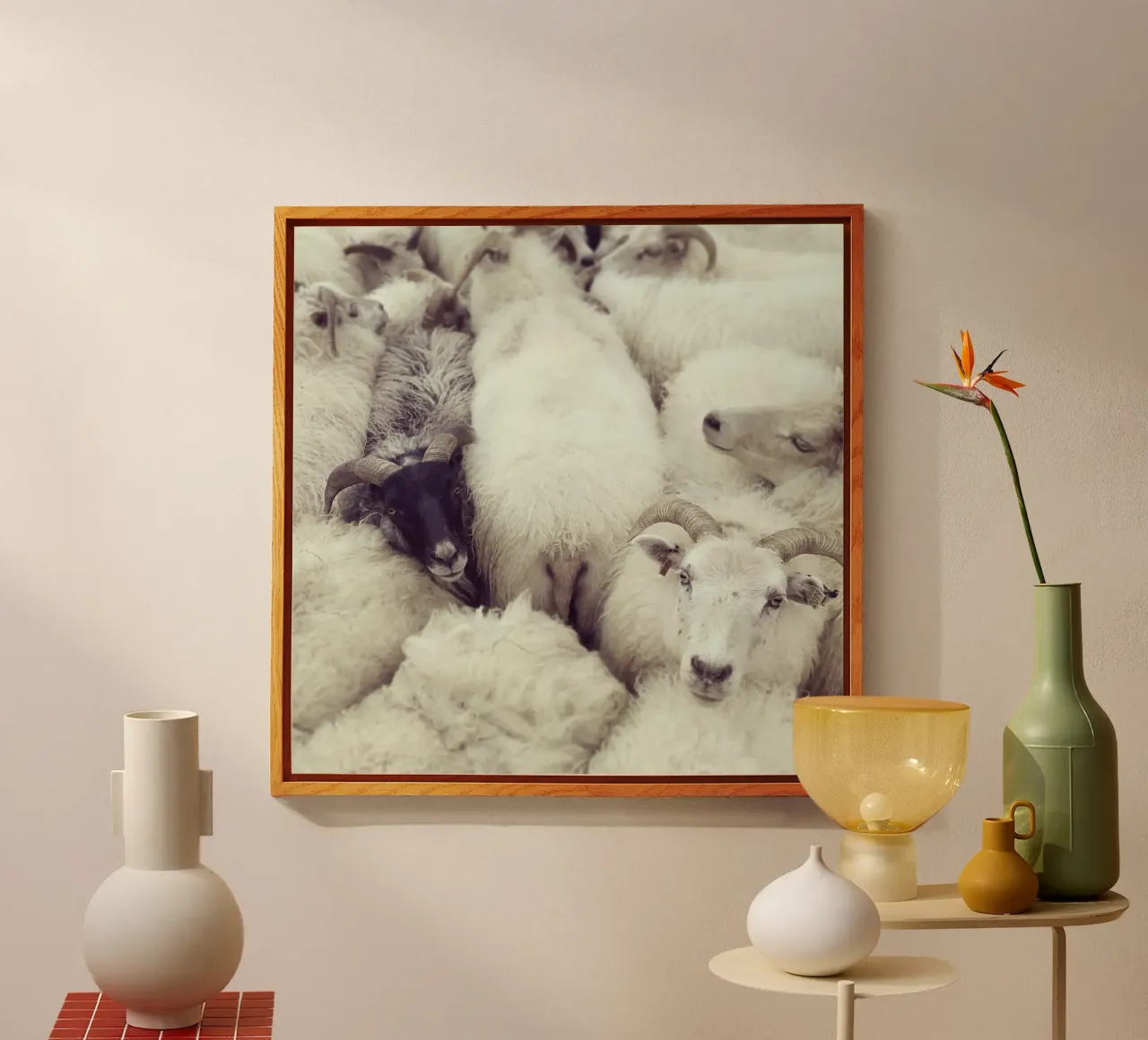 I see you plexiglass da Nur Mut