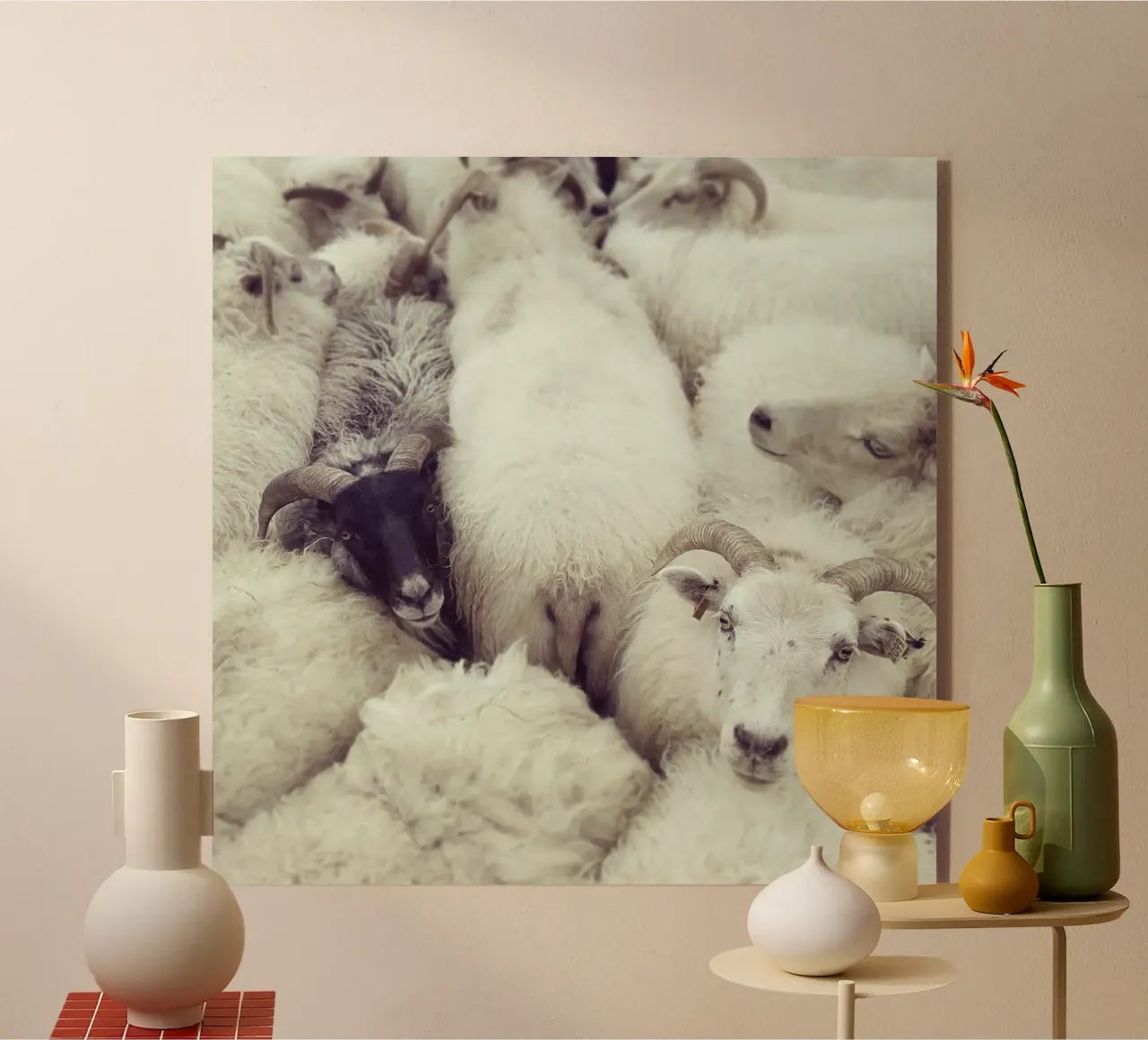 I see you plexiglass da Nur Mut