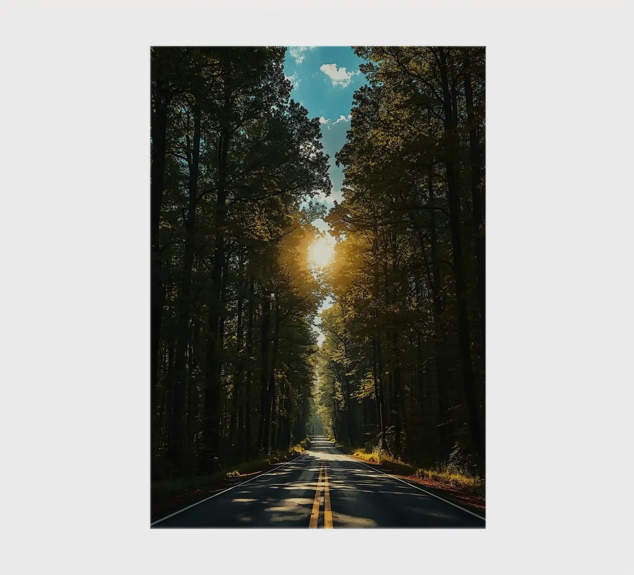 Sunlit Journey Through the Forest notebook by van hellen