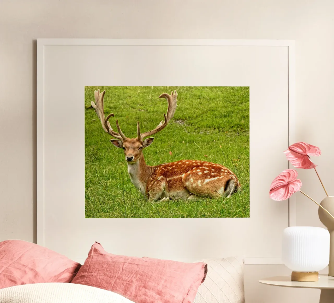 Cervo bruno che si sdraia su un campo d'erba poster con telaio in alluminio da Sophia Roy