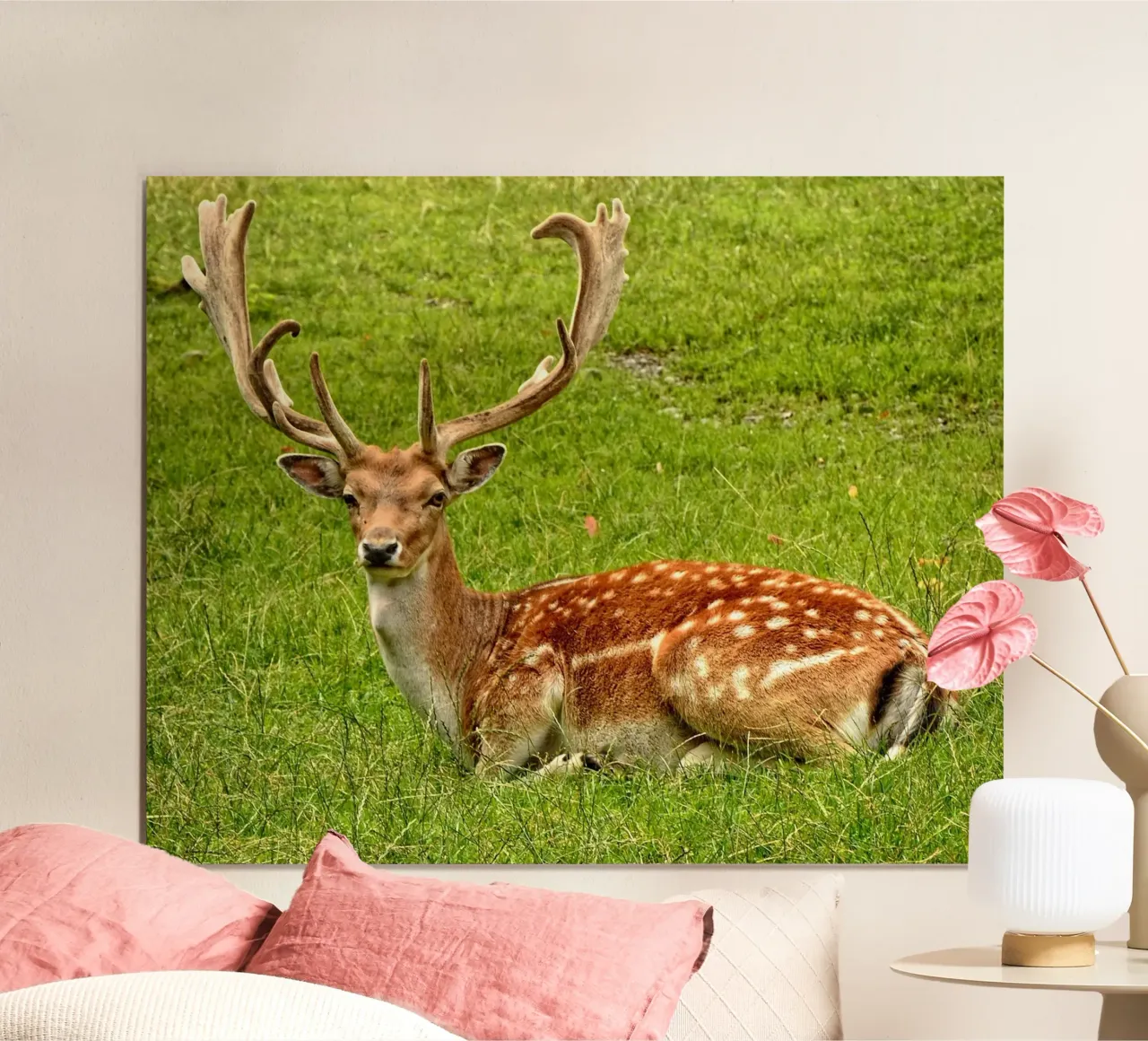 Cervo bruno che si sdraia su un campo d'erba poster con telaio in alluminio da Sophia Roy