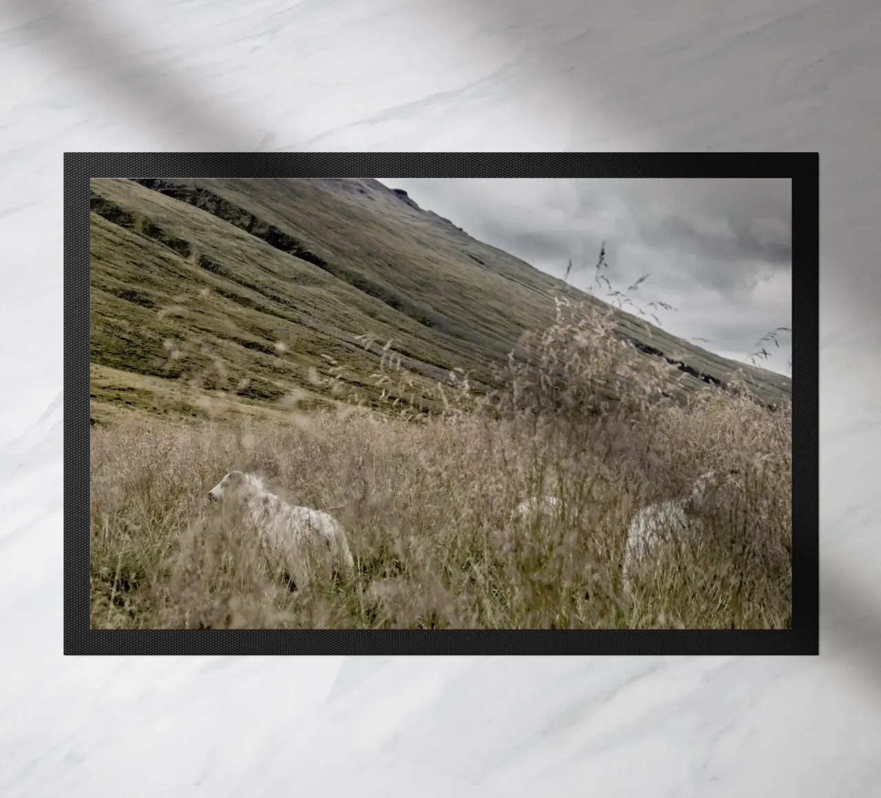 Hiding in plain sight zerbino da Nur Mut