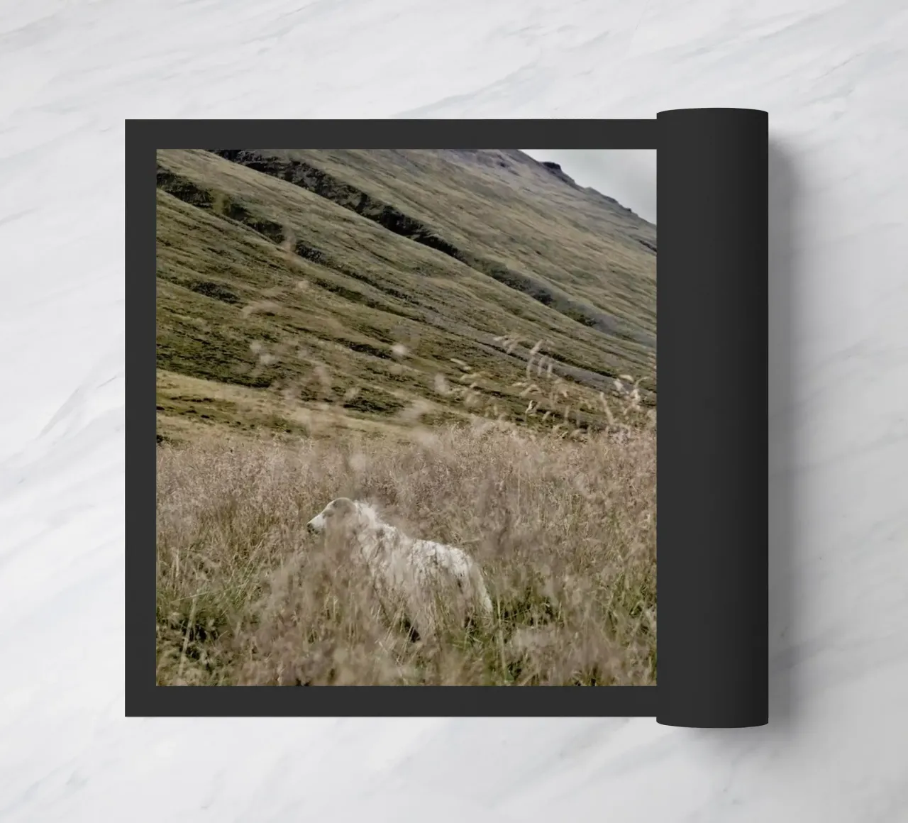 Hiding in plain sight zerbino da Nur Mut