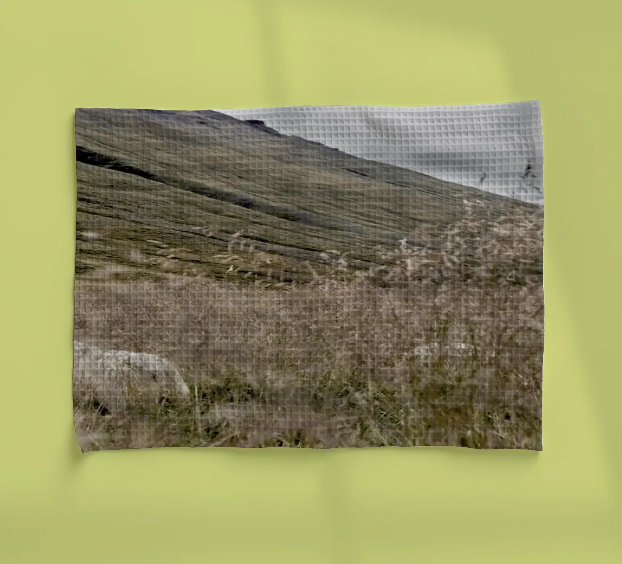 Hiding in plain sight canovaccio da cucina da Nur Mut