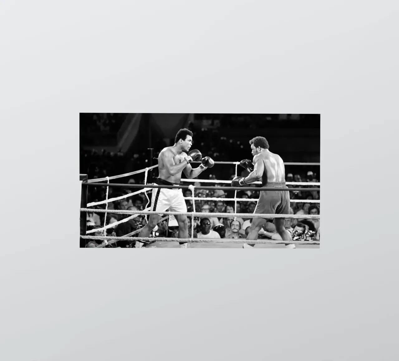 Mohammed Ali vs George Foreman sticker van tobyrmattie