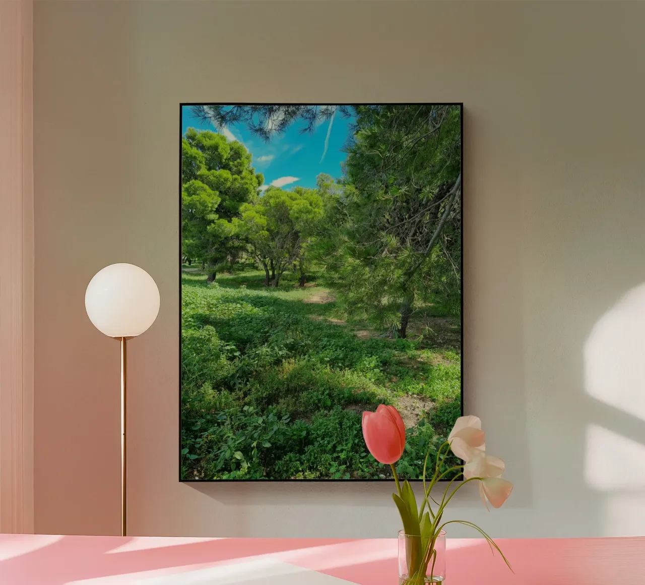 Pini in Catalogna plexiglass da dava