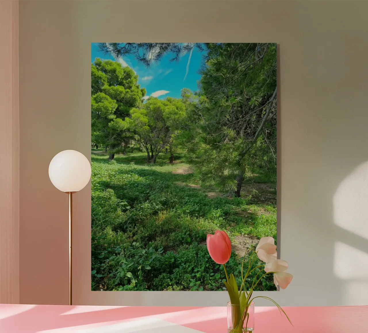 Pini in Catalogna plexiglass da dava