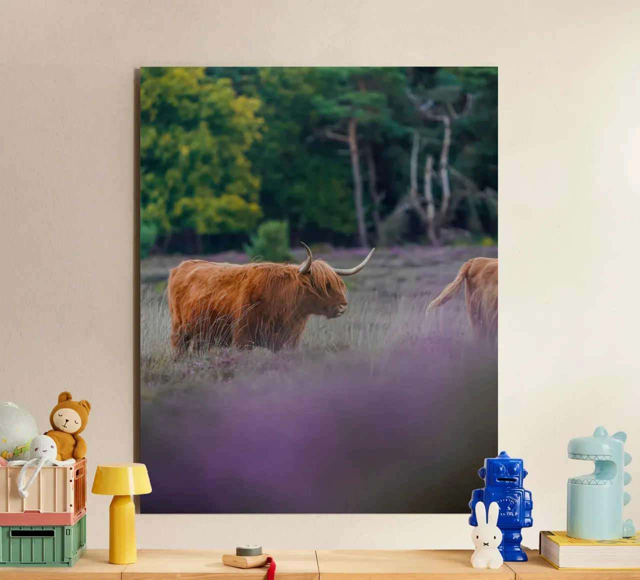Mucca delle Highlands alluminio dibond da Tom's Wildlife