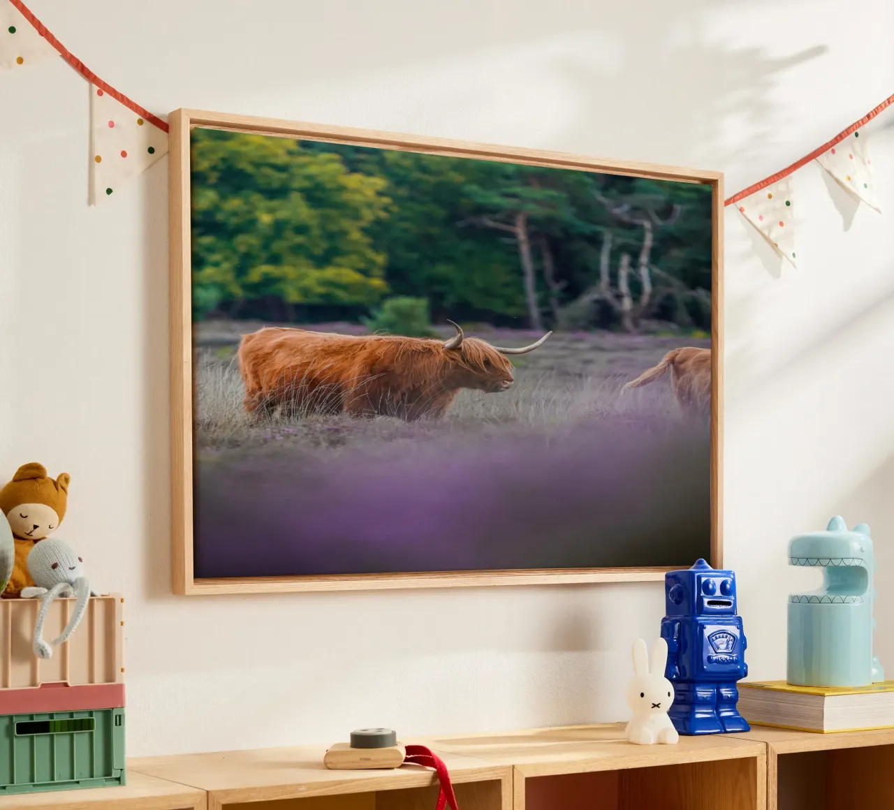 Mucca delle Highlands tela con Cornice a cassetta da Tom's Wildlife