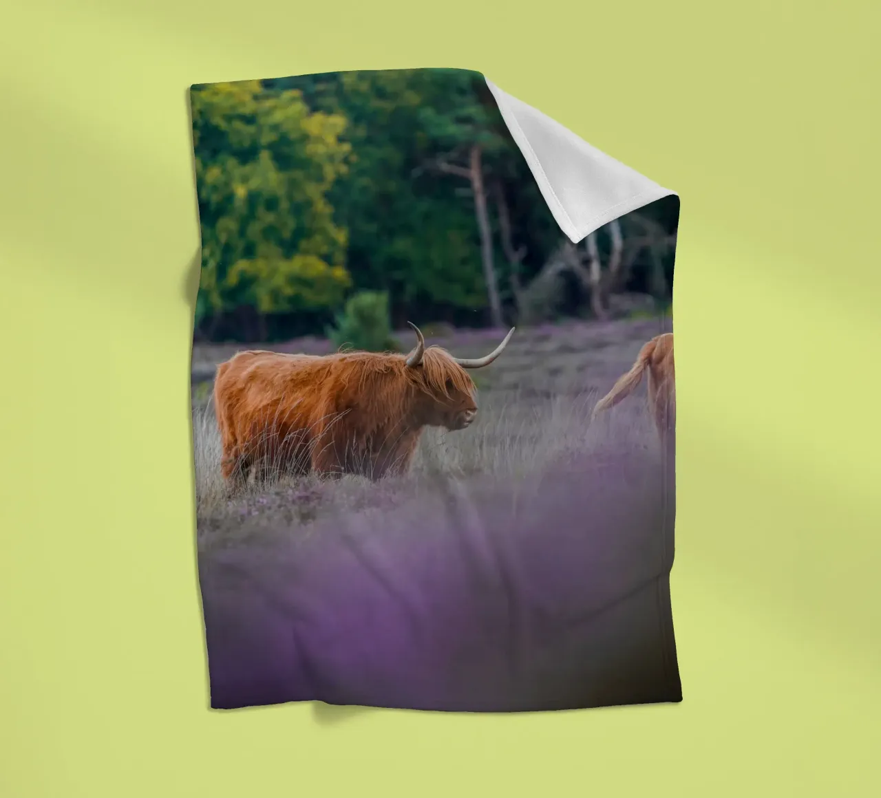 Mucca delle Highlands coperta in pile da Tom's Wildlife