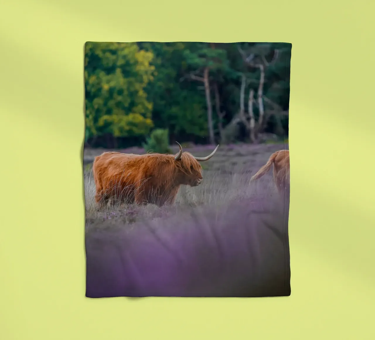 Mucca delle Highlands coperta in pile da Tom's Wildlife