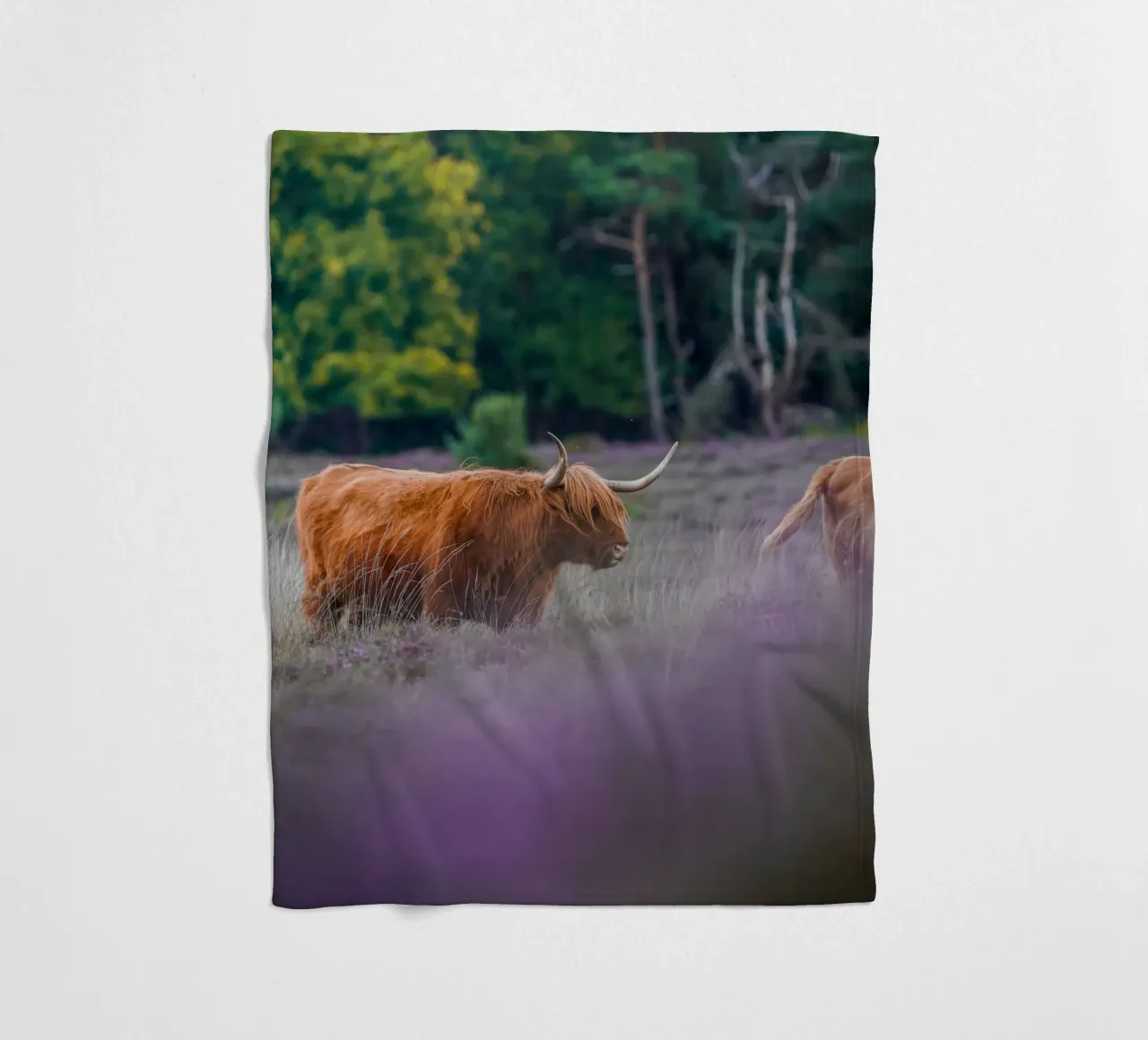 Mucca delle Highlands coperta in pile da Tom's Wildlife