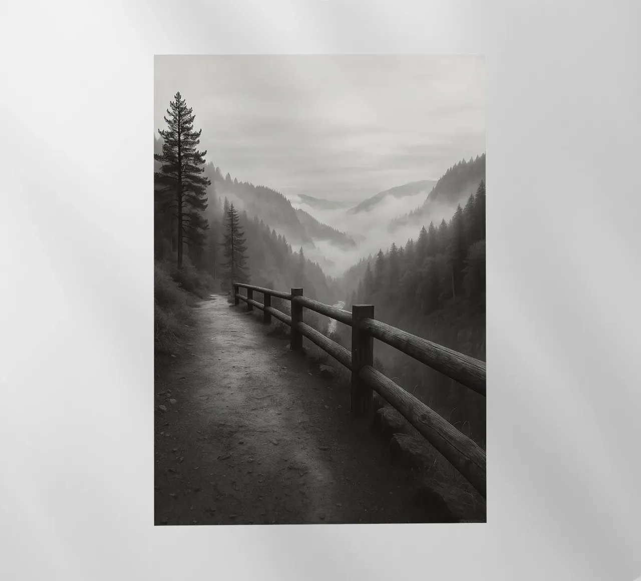 road on the edge of a cliff in the forest black and white ph backlit film by roosses
