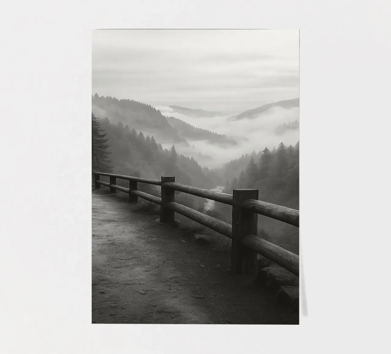 route au bord d'une falaise dans la forêt noir et blanc ph planche autocollant de roosses