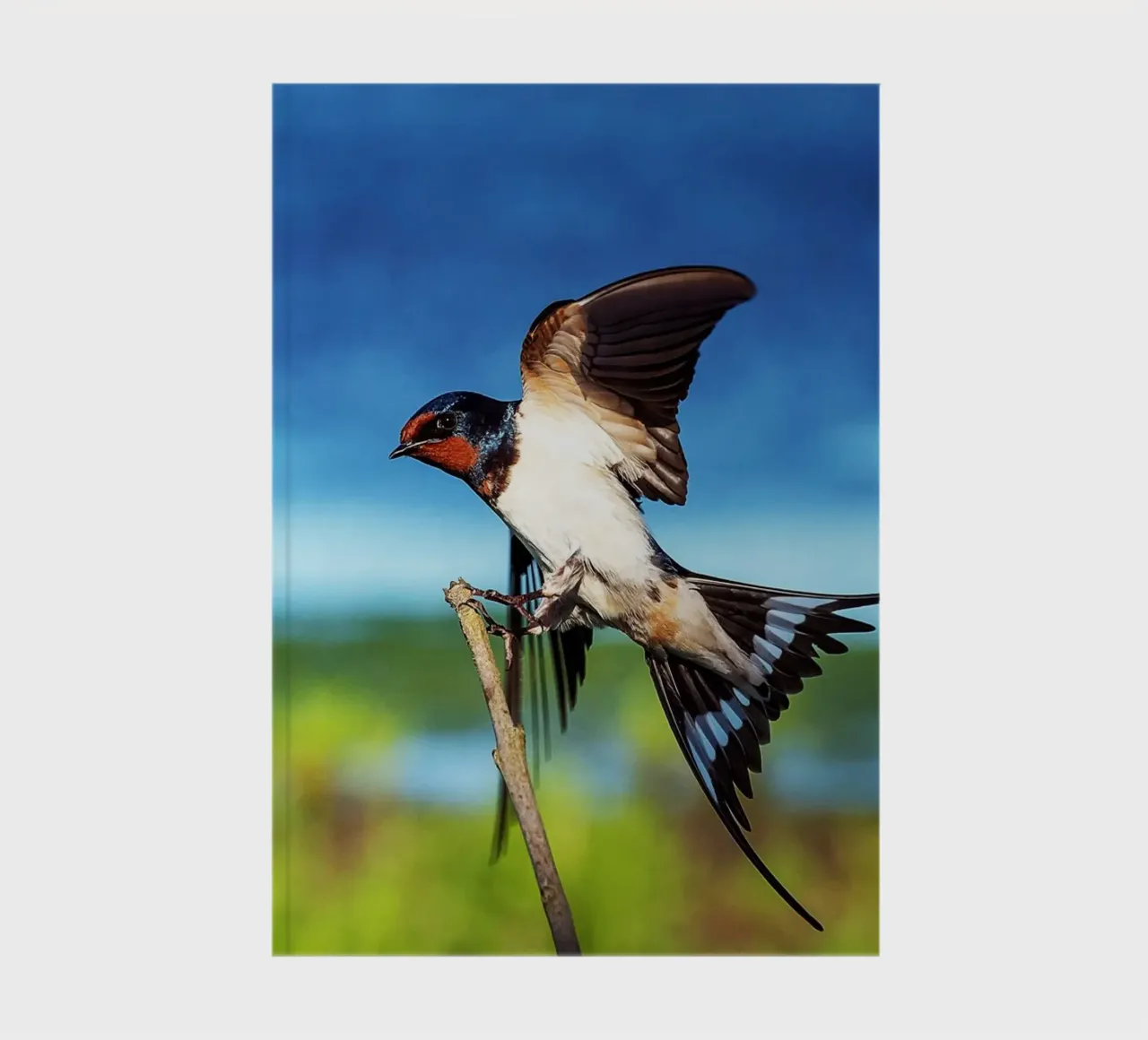 Spring swallow brings time notebook by Nature's Palette