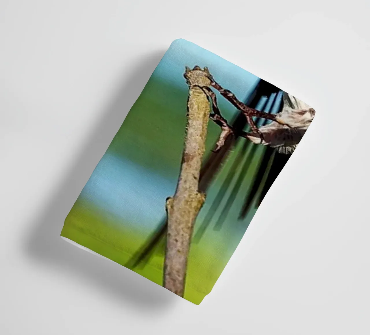 Spring swallow brings time towel by Nature's Palette