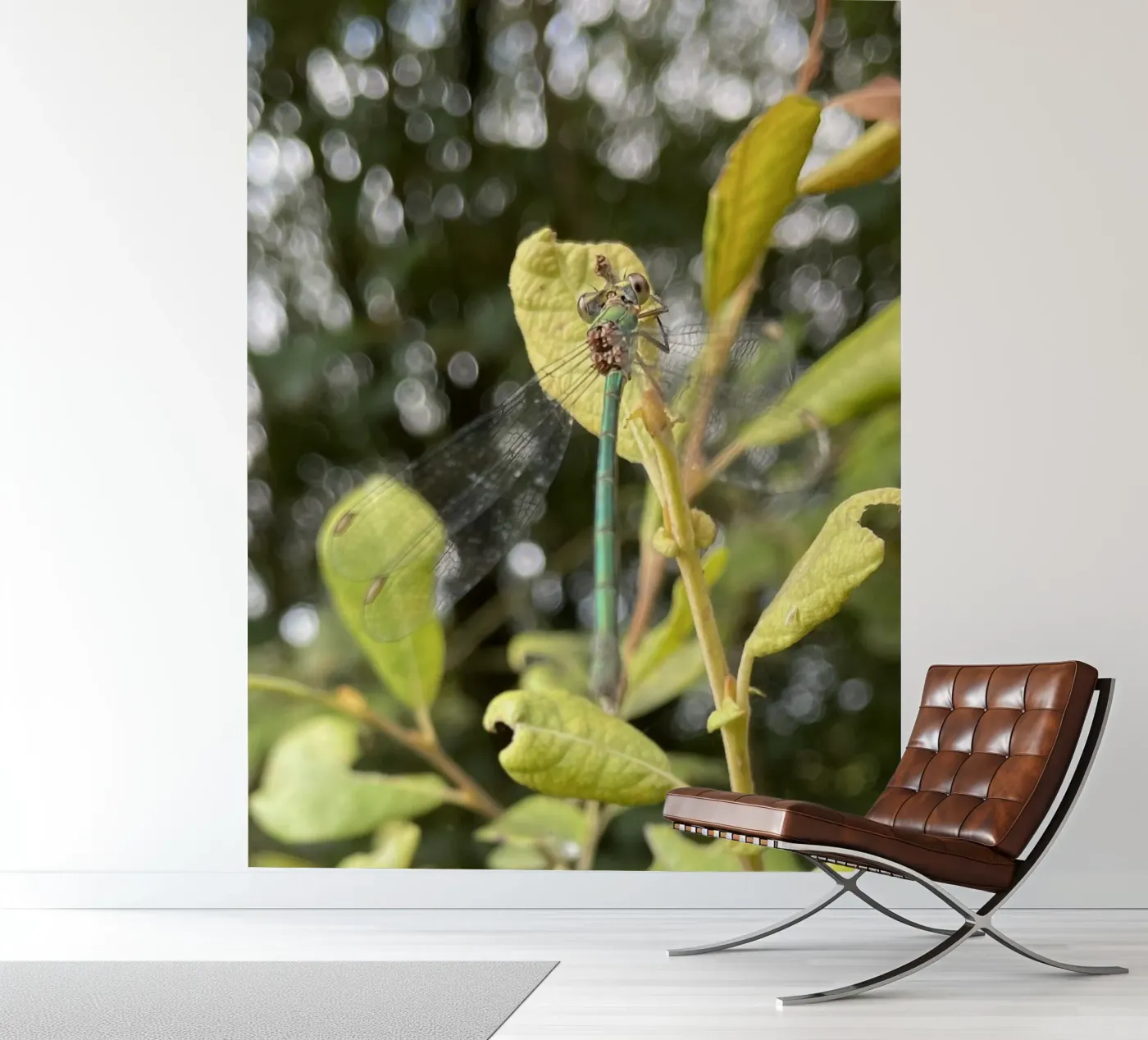 Zomer libellen fotobehang van MiniClic
