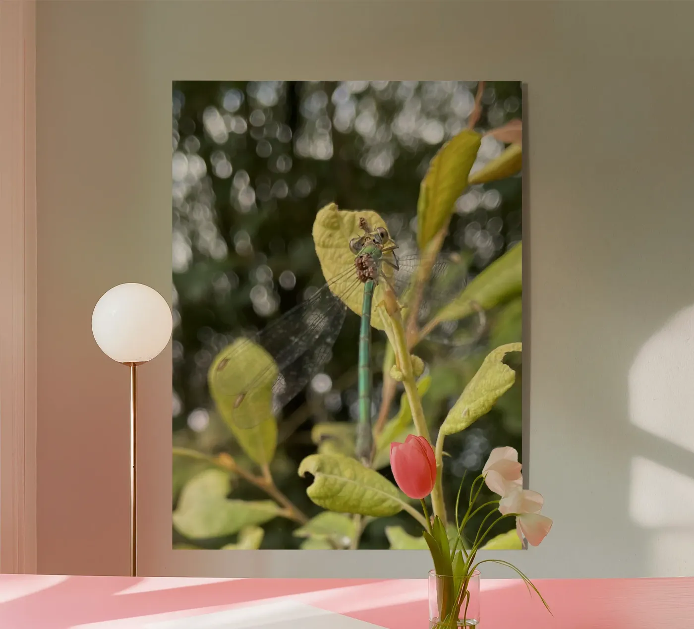 Libellules d'été plexiglas de MiniClic