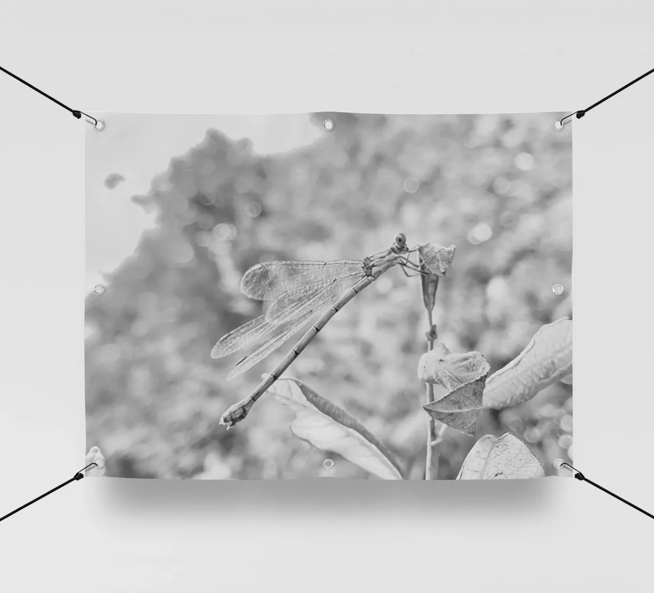 Bianco e nero - Libellule telo in pvc da MiniClic