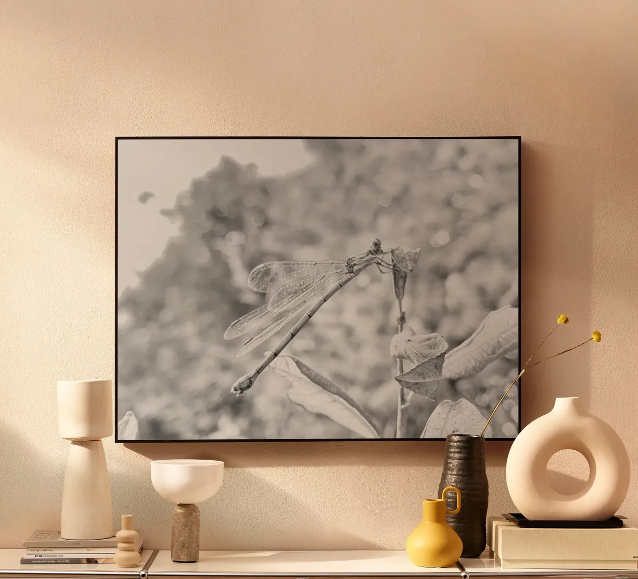 Bianco e nero - Libellule plexiglass da MiniClic