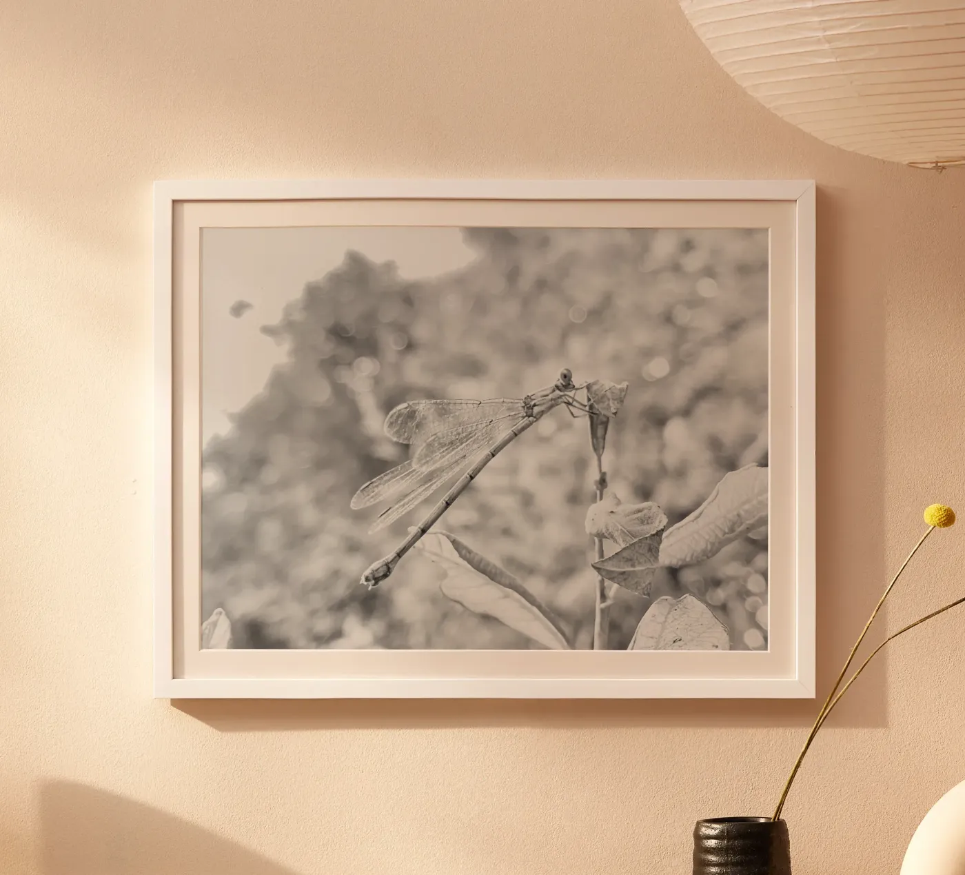 Bianco e nero - Libellule poster da MiniClic