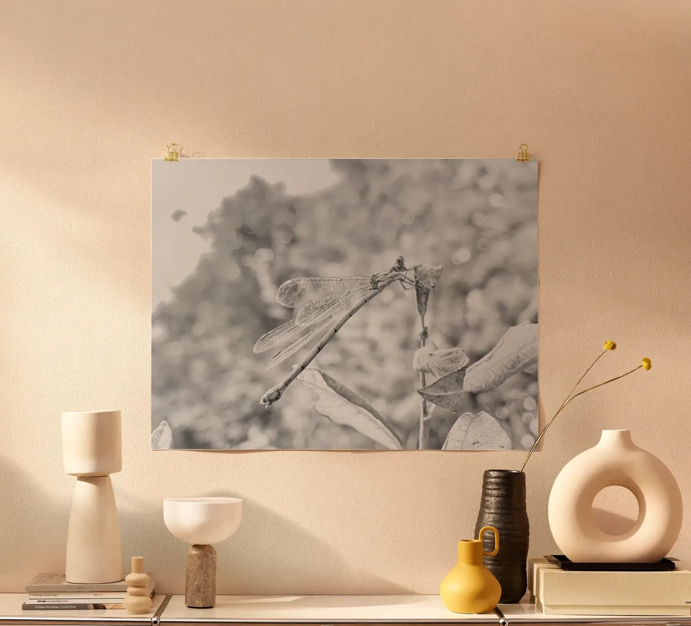 Bianco e nero - Libellule poster da MiniClic