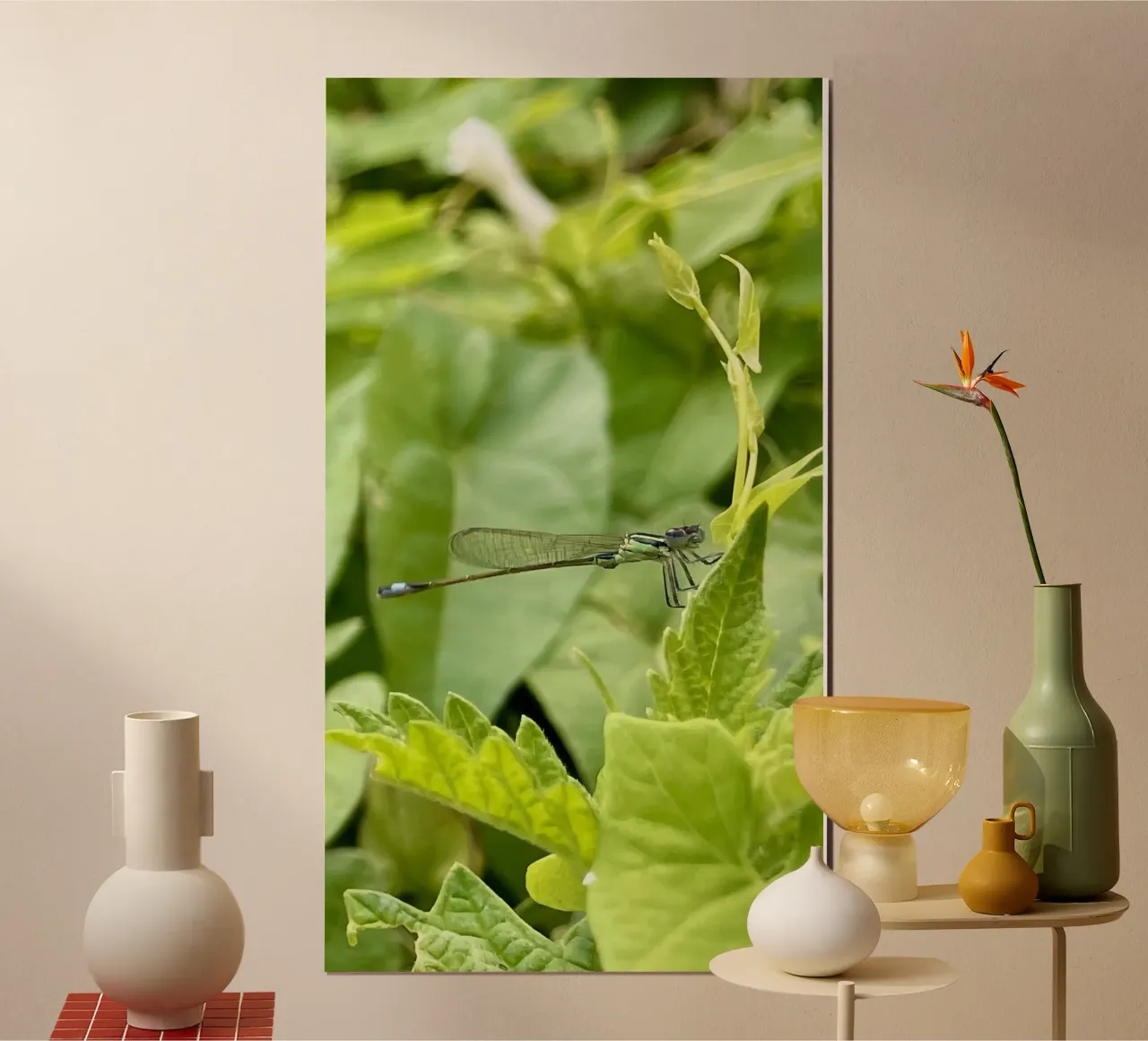 Uno scorcio di libellula estiva poster da MiniClic