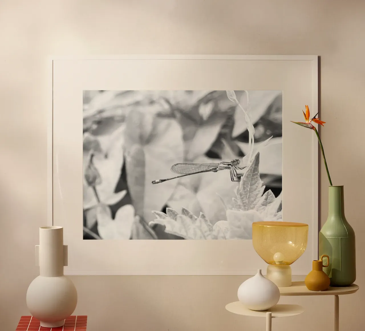 Noir et Blanc - Regard Libellule poster da MiniClic