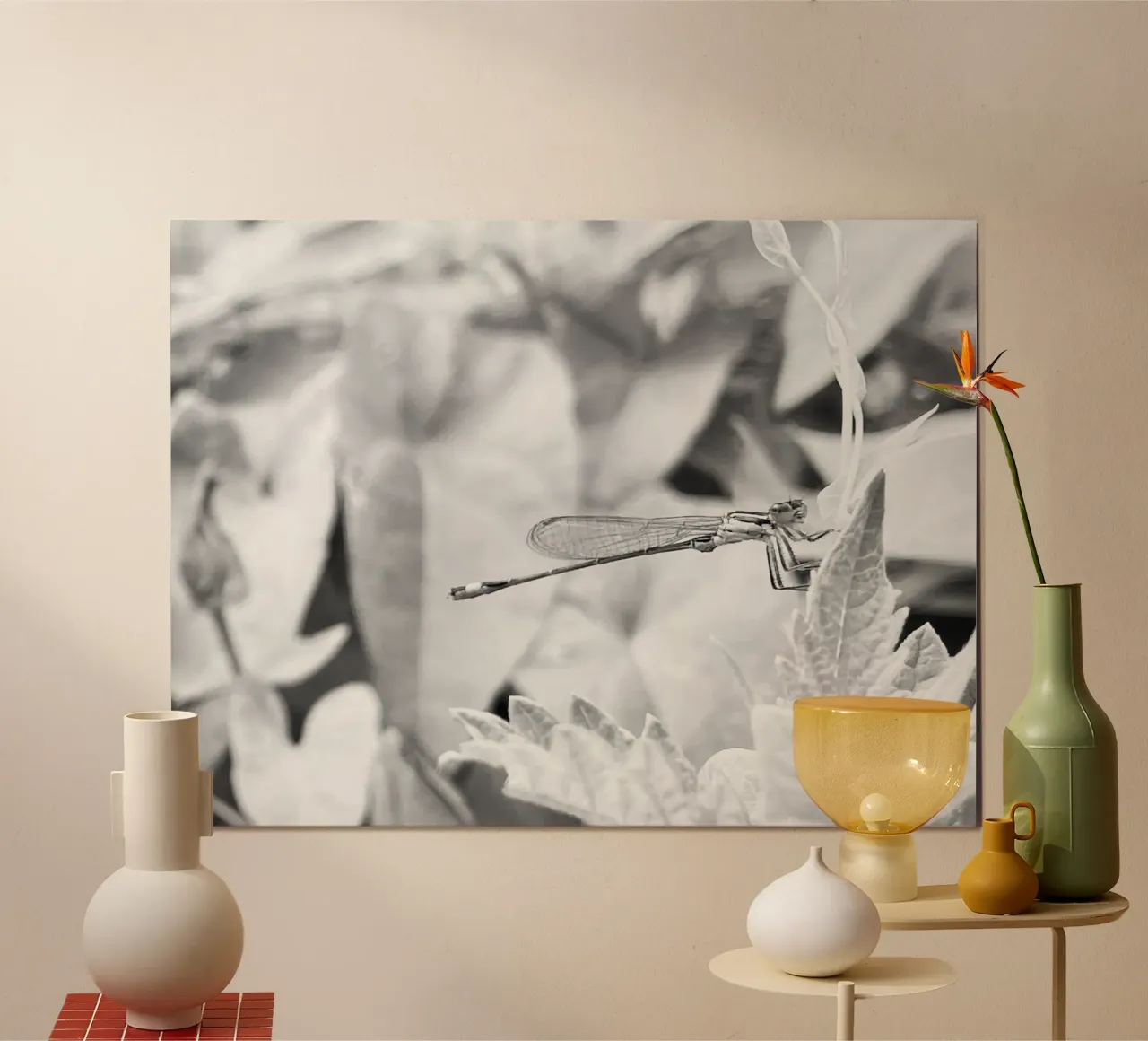 Noir et Blanc - Regard Libellule poster da MiniClic