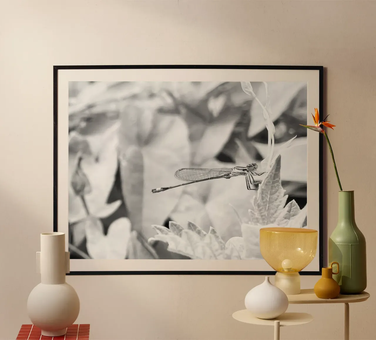Noir et Blanc - Regard Libellule poster da MiniClic
