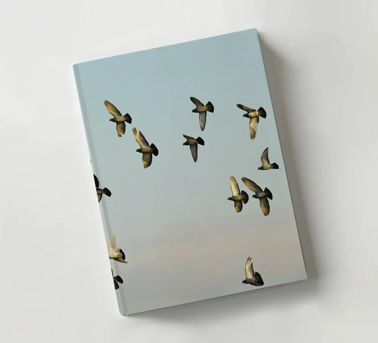 Flock of Birds Flying notebook by Benjamin Pelletier