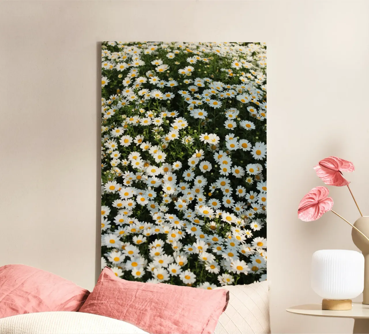 Beautiful field of white daisies in bloom canvas with Floater frame by Lisa Lee