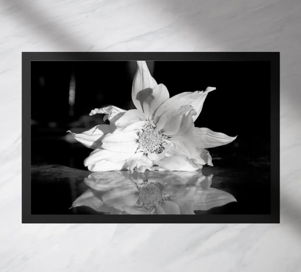 Flora zerbino da rafael campezato