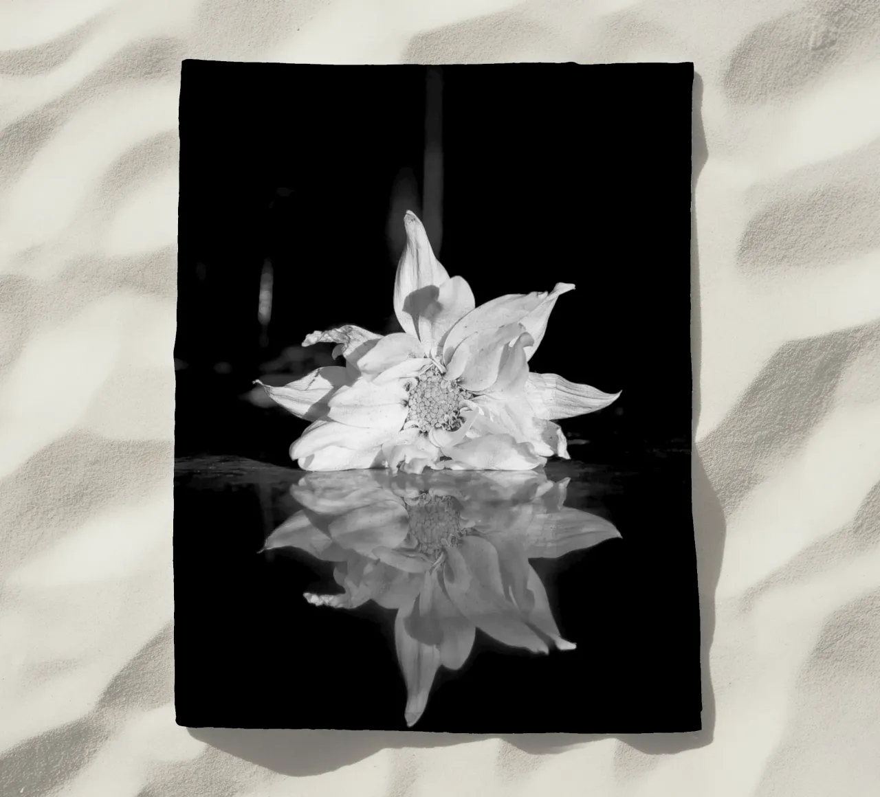 Flora beach towel by rafael campezato