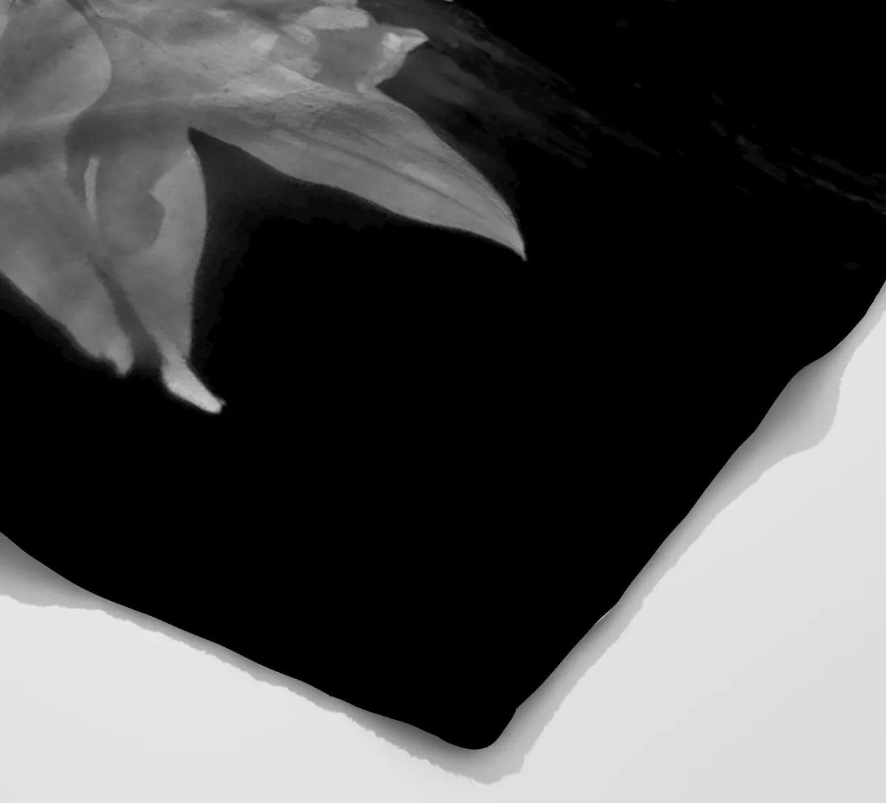 Flora Fleecedecke von rafael campezato