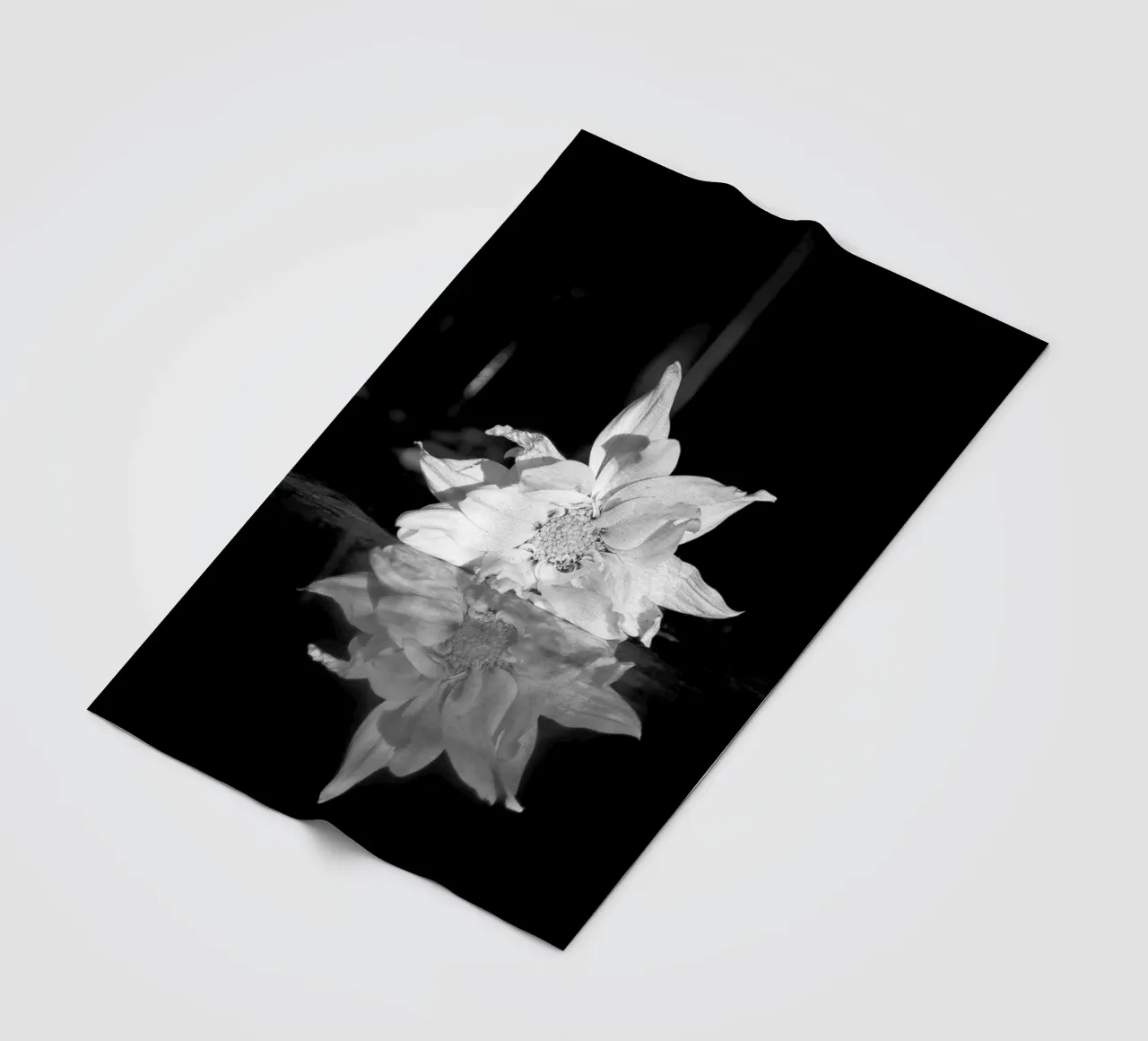 Flora Fleecedecke von rafael campezato