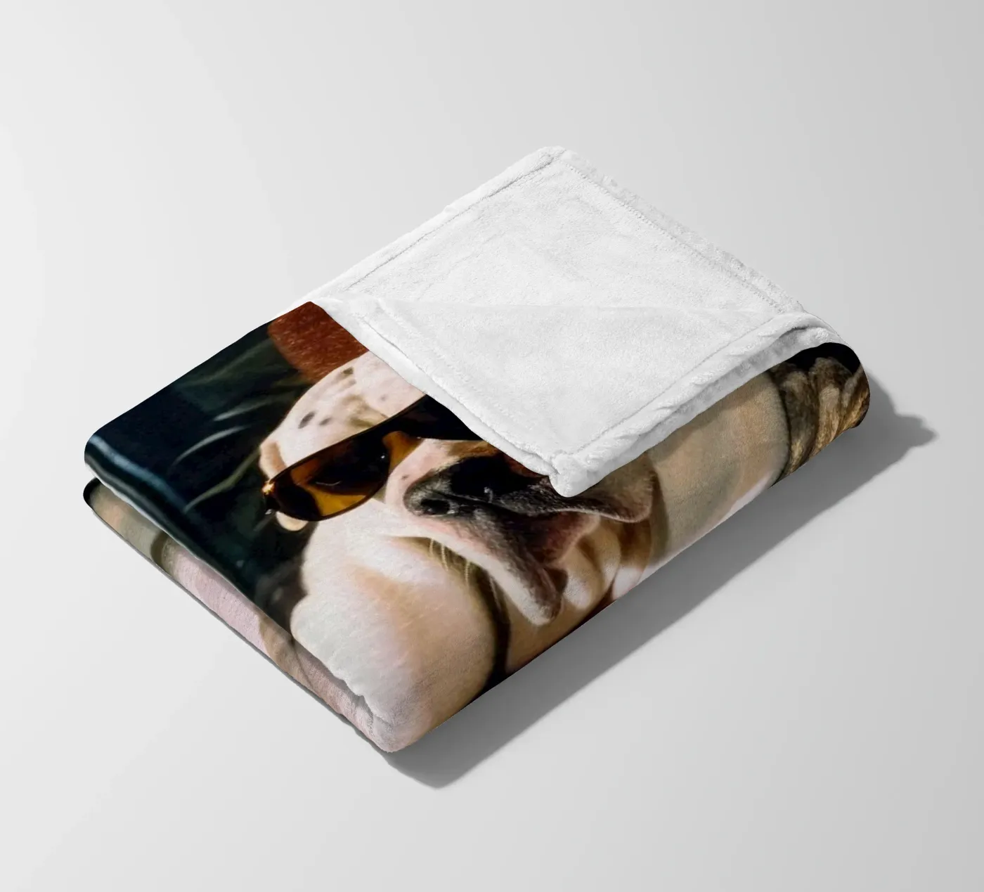 Paul fleecedeken van Affiches Chien Originales – Dogland