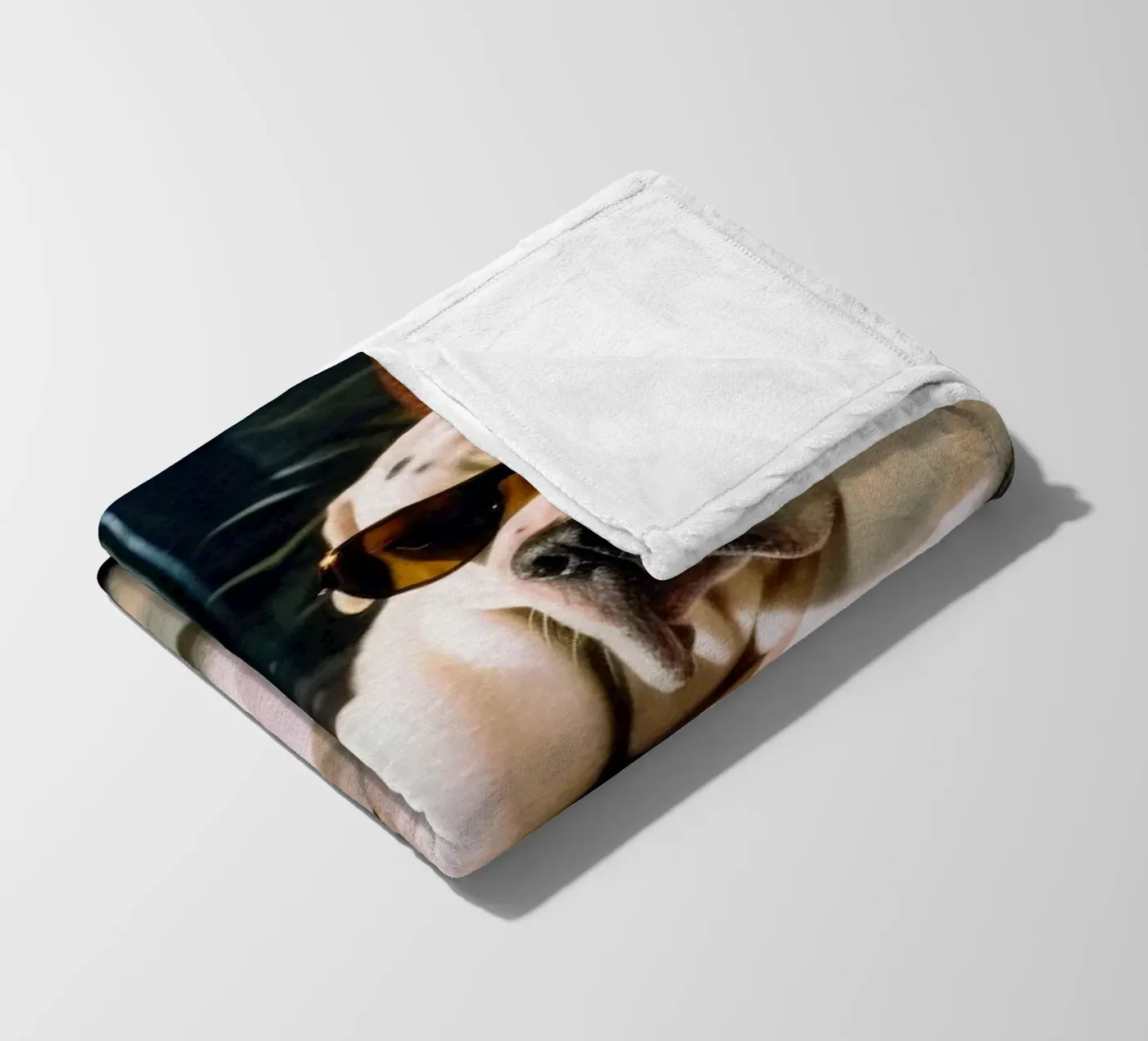 Paul fleecedeken van Affiches Chien Originales – Dogland