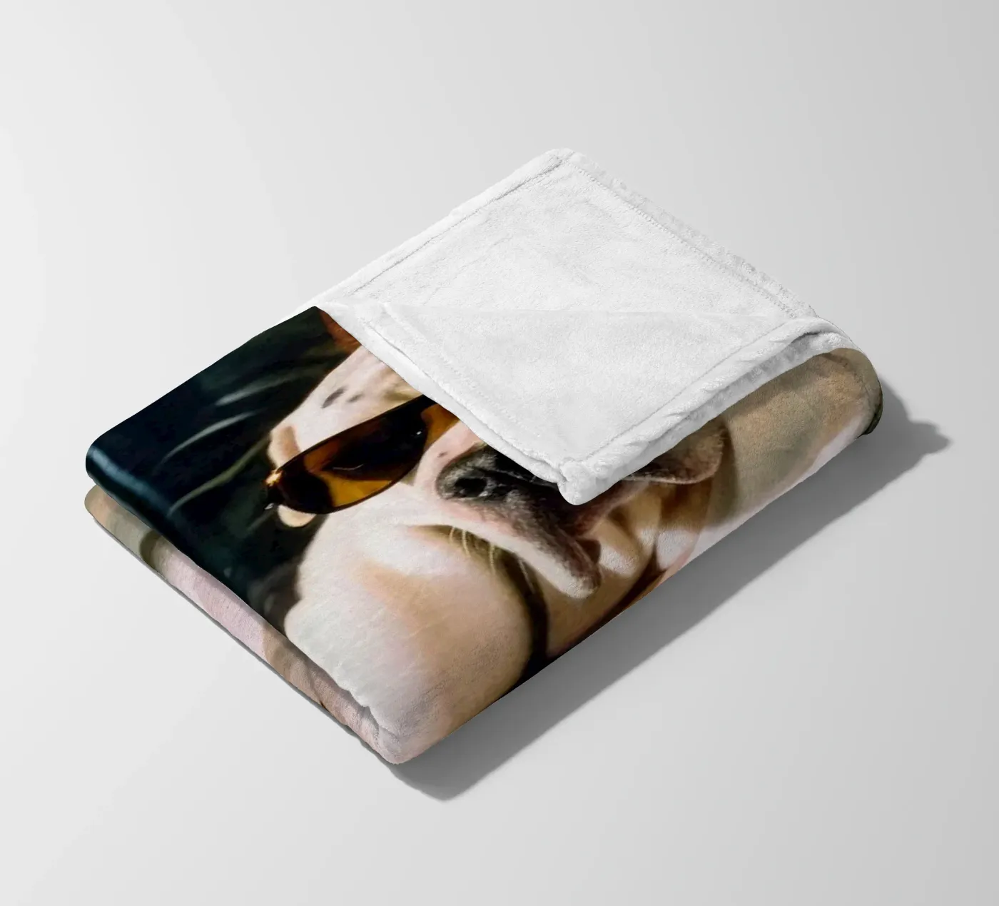 Paul fleecedeken van Affiches Chien Originales – Dogland