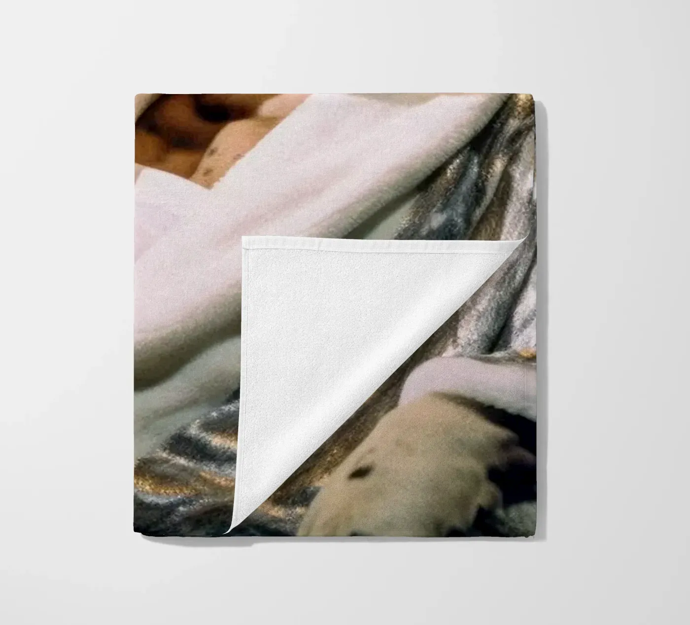 Paul telo mare da Affiches Chien Originales – Dogland