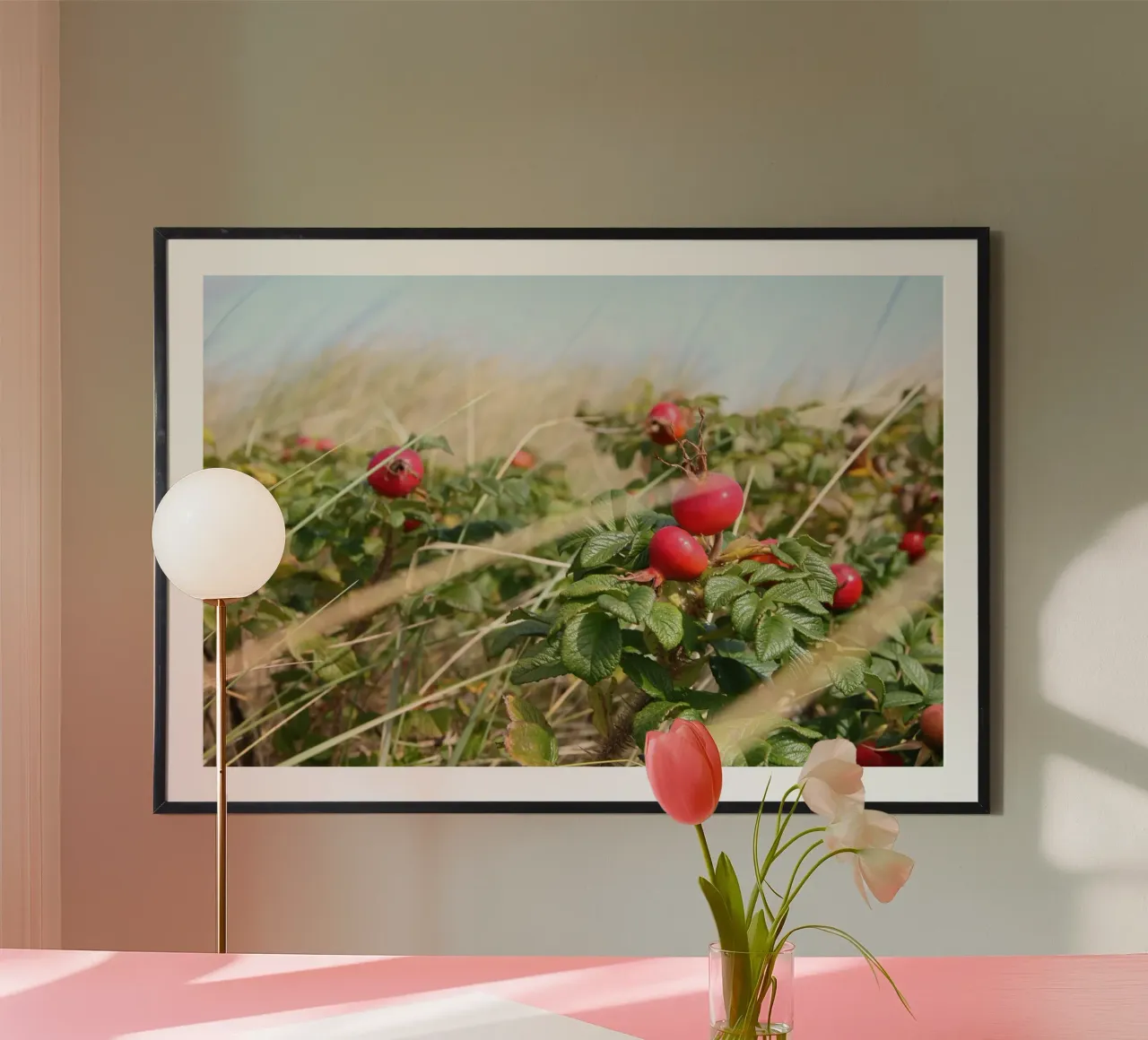 Rosa canina poster da eyes & tries
