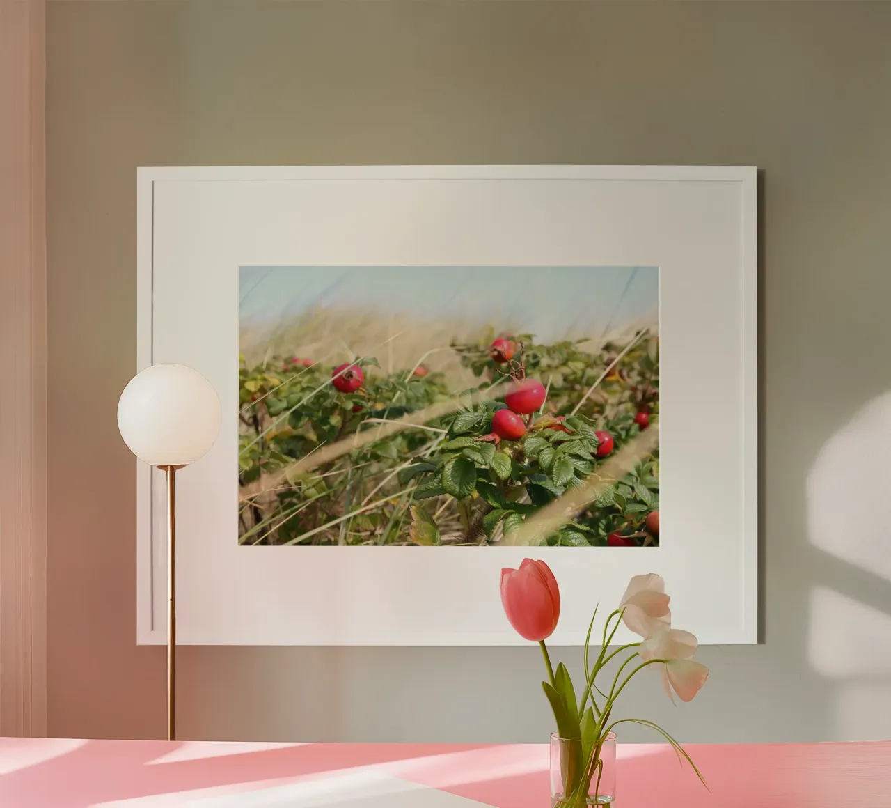 Rosa canina poster da eyes & tries