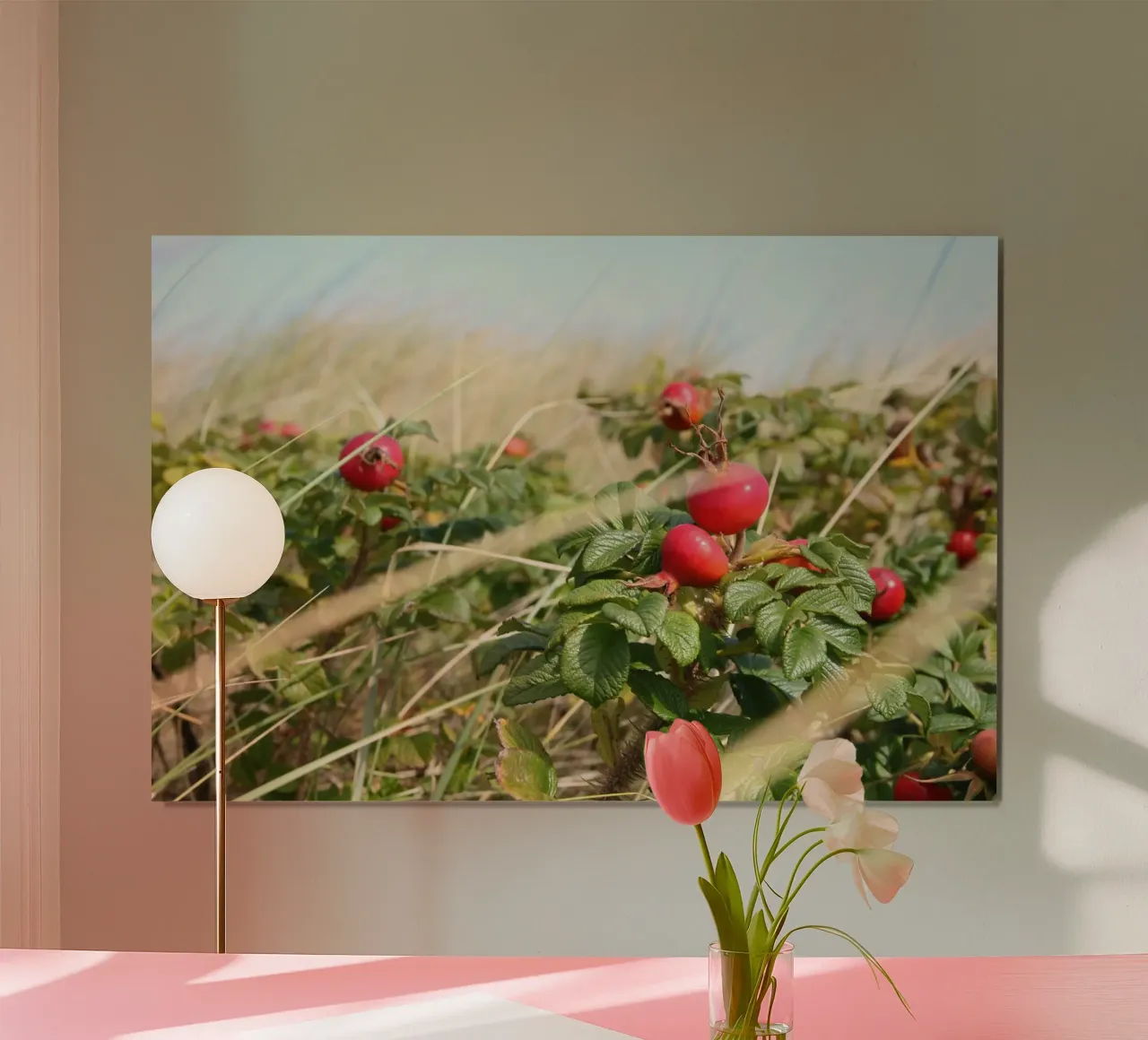 Rosa canina poster da eyes & tries